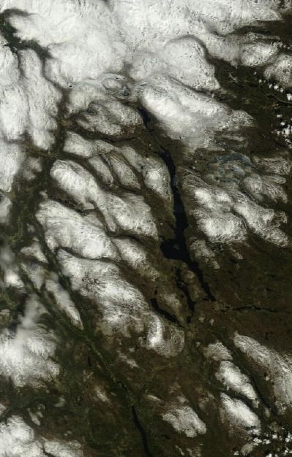 Åpent vann på Femunden 23. mai. Men jammen ligger isen fortsatt på Aursunden. (Foto: (NASA Terra MODIS))