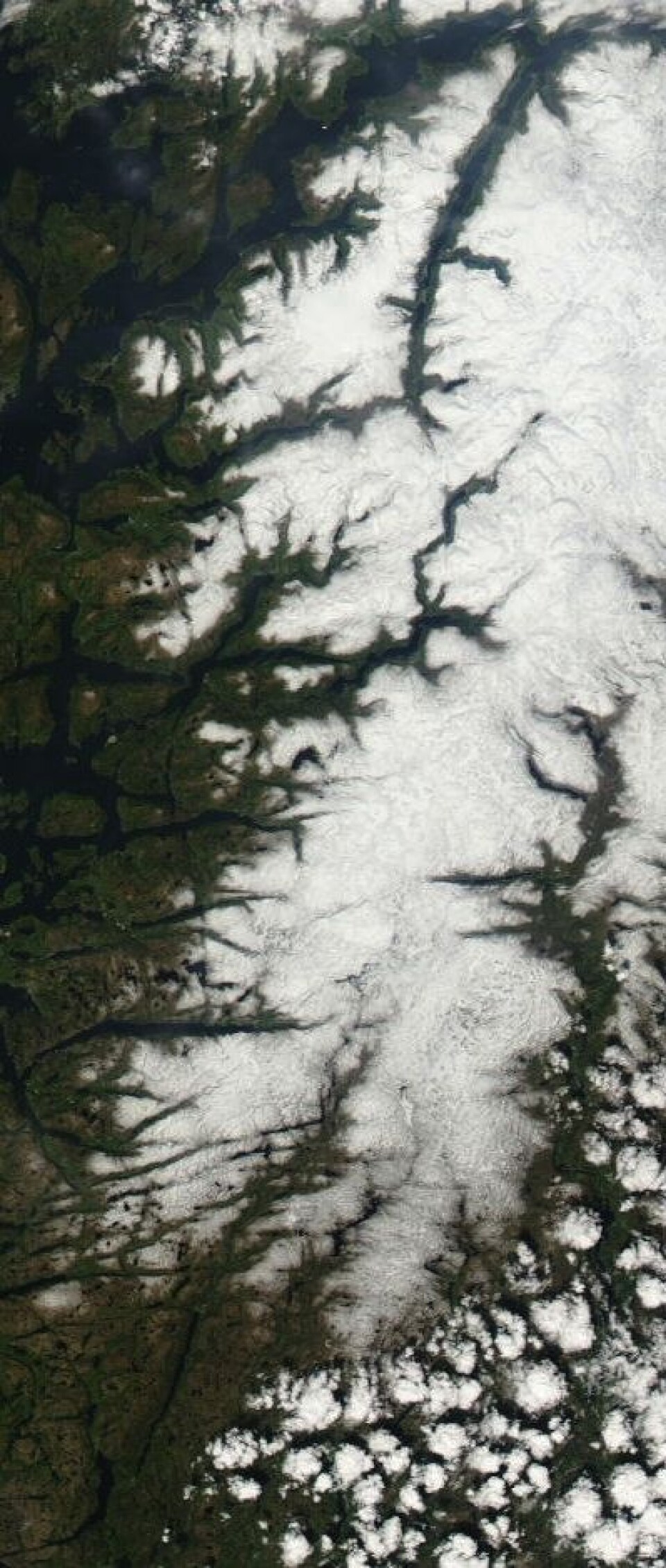 Snøen er på full retrett i Sør-Norge nå. Her er området fra Hardanger og sørover sett fra NASAs satellitt Aqua 25. mai. (Foto: (NASA Aqua MODIS))