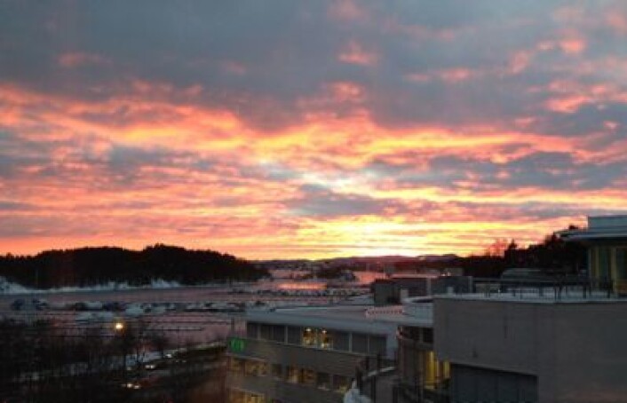 En fin dag på kontoret. (Foto: T Wahl) En fin dag på kontoret. (Foto: T Wahl)