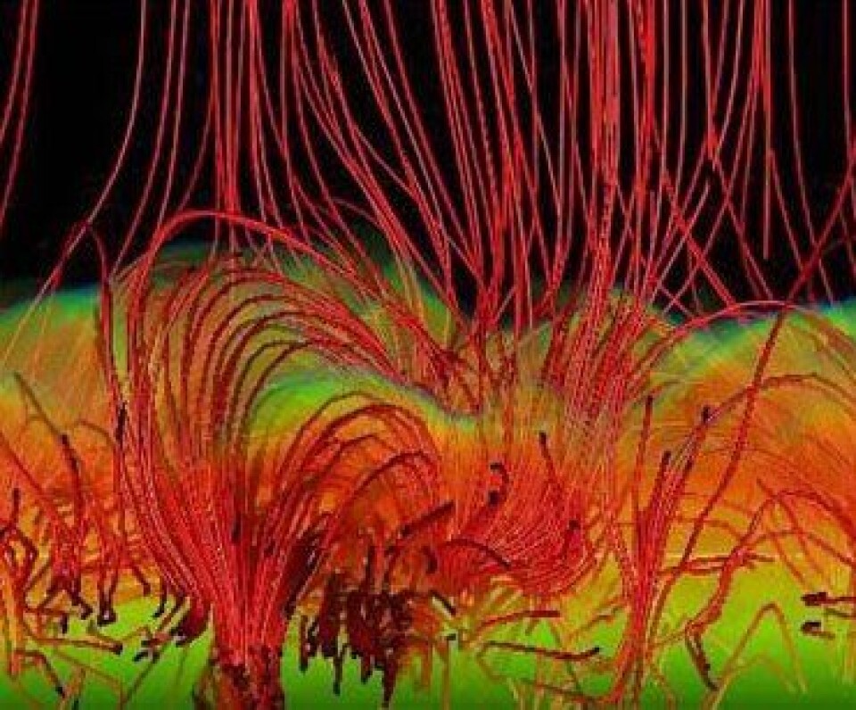 Energi overføres opp i solas korona ved hjelp av tynne 'fingre' (spicules). Her datasimulert ved Institutt for Teoretisk Astrofysikk, UiO.