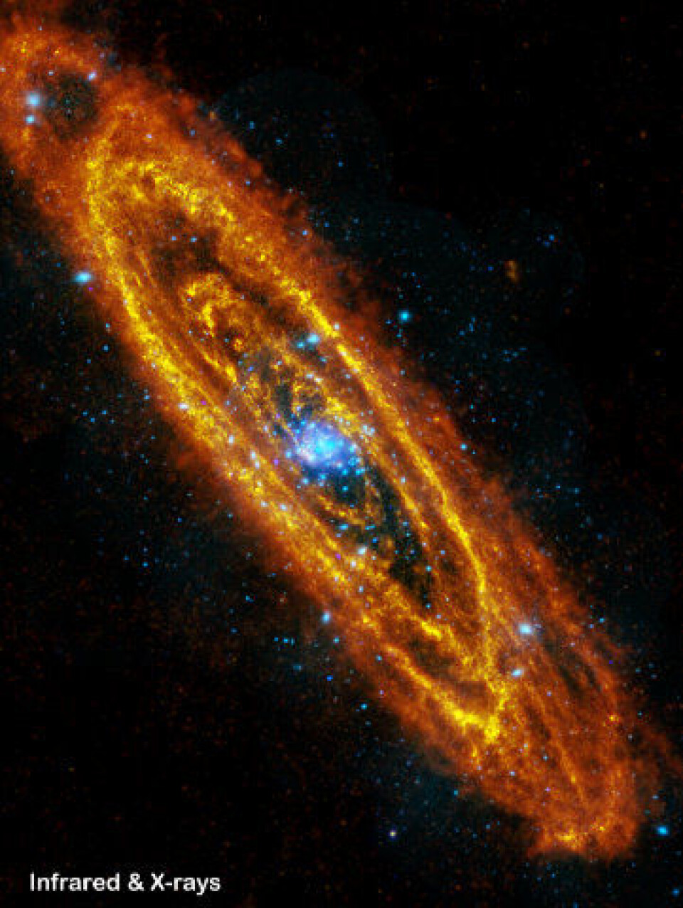 Andromedagalaksen sett med infrarød stråling (oransje) og røntgenstråling (blått). (ESA/Herschel/PACS/SPIRE/J.Fritz, U. Gent, ESA/XMM-Newton/EPIC/W.Pietsch, MPE)