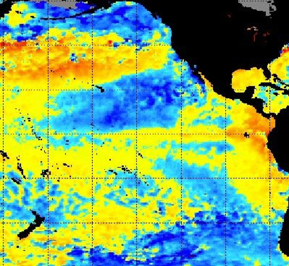 Skal – skal ikke? Stillehavet lurer fortsatt på om det skal gå for en El Ninjo i høst. (NOAA) (Foto: (NOAA))