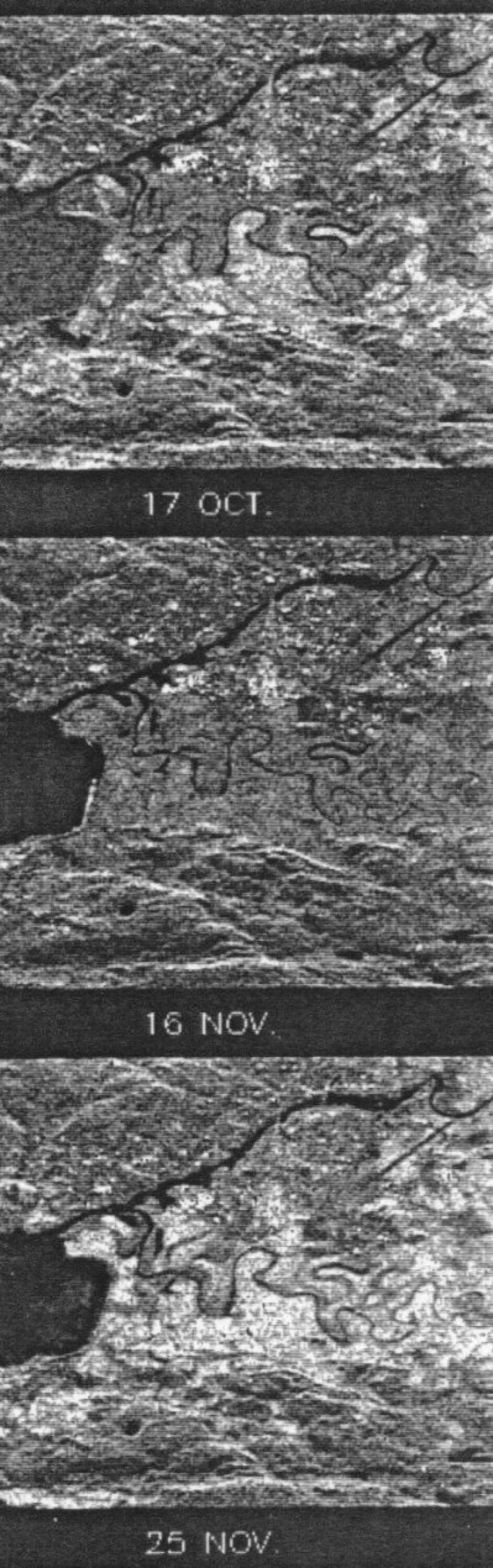 De bløte, høstpløyde jordene mellom Lillestrøm og Fetsund lyste opp i radarbildene som ble tatt fra ERS-1 høsten 1991. Men 16 november var det frost i bakken ... (Nord er til høyre i disse bildene). (Fra Dan Weydahls doktoravhandling 1998). (Foto: (ESA/TSS/FFI))