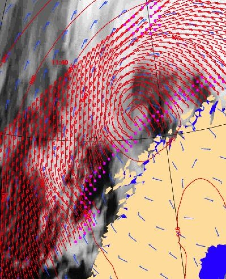 Vindfeltet ved havoverflaten utenfor Nord-Norge 31. januar, målt med scatterometer fra den europeiske værsatellitten Metop-A. (Foto: (EUMETSAT))