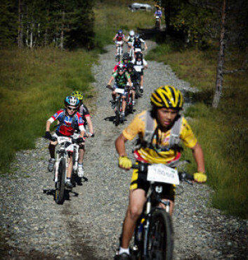 Illustrasjonsbilde fra Ungdomsbirken. NIH, foto: Line Møller Illustrasjonsbilde fra Ungdomsbirken. NIH, foto: Line Møller