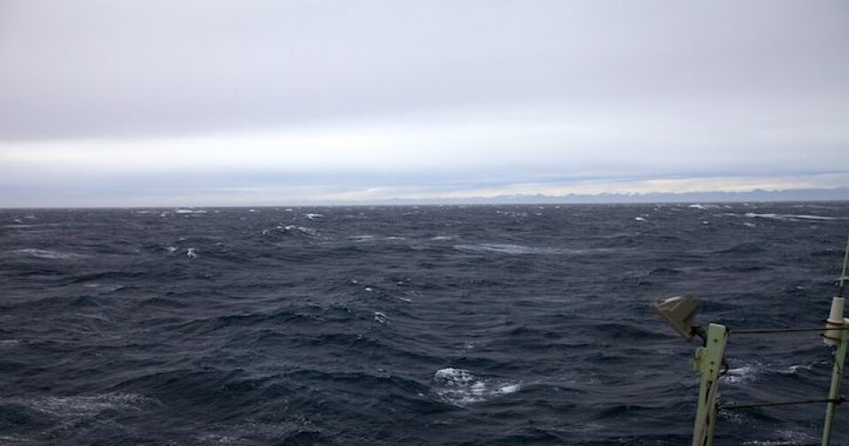 Grønlands taggete kyststripe sees i det fjerne. Foto: Sindre Skrede