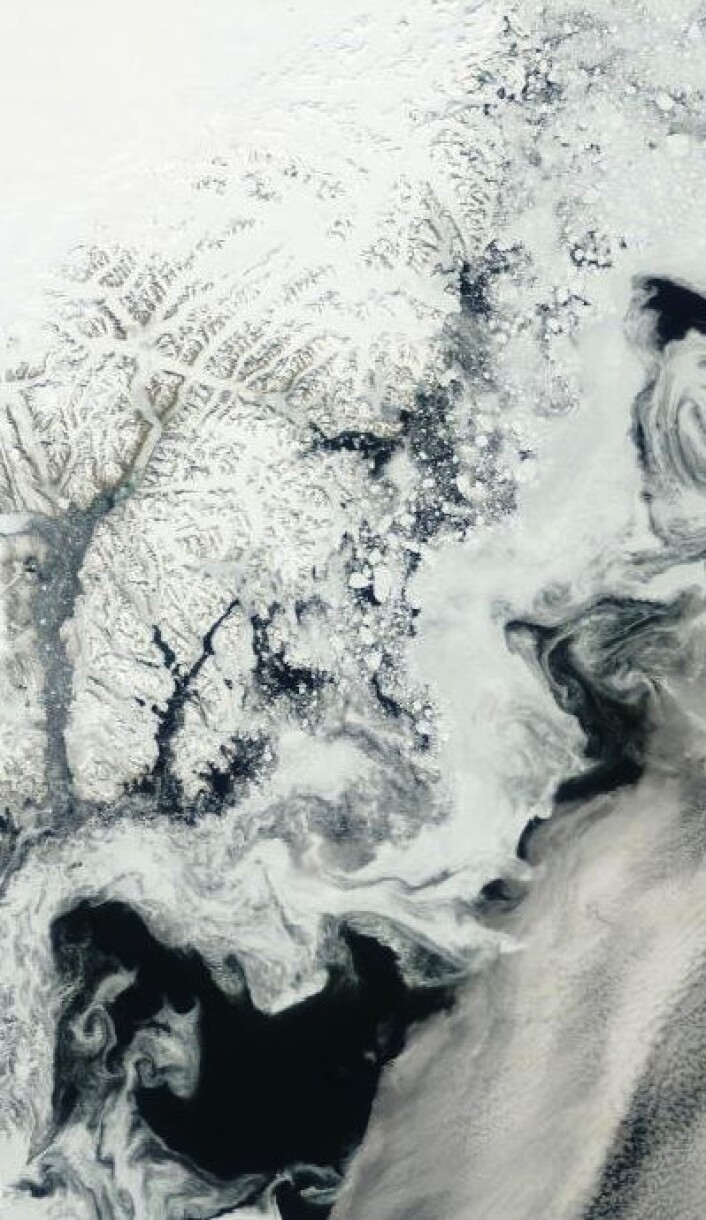 Grønland er i skuddet, med gamle flyfoto på østkysten og fersk varmerekord på sydspissen. Her er gårsdagens Terra-bilde fra Angmagssalik. (Foto: (NASA Terra MODIS)) Grønland er i skuddet, med gamle flyfoto på østkysten og fersk varmerekord på sydspissen. Her er gårsdagens Terra-bilde fra Angmagssalik. (Foto: (NASA Terra MODIS))
