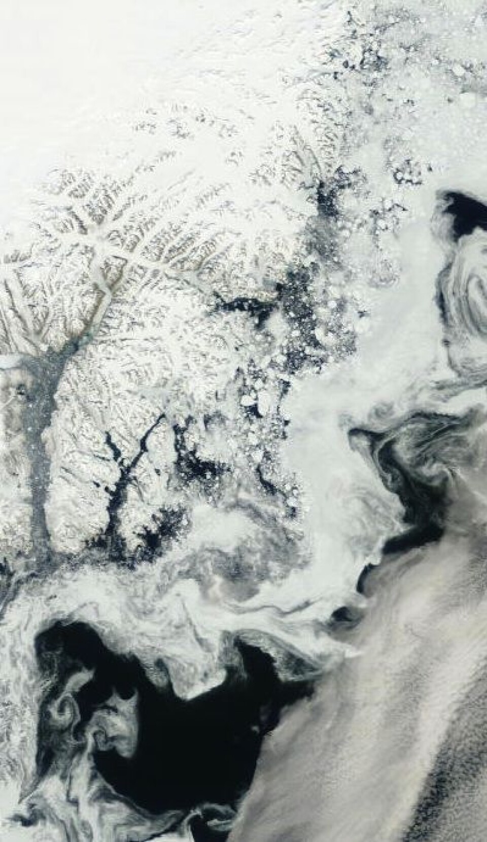 Grønland er i skuddet, med gamle flyfoto på østkysten og fersk varmerekord på sydspissen. Her er gårsdagens Terra-bilde fra Angmagssalik. (Foto: (NASA Terra MODIS))