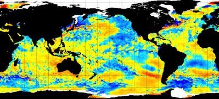 Satellittmålt temperatur i havoverflaten (avvik fra normalen) 7. februar. Global temperatur for januar målt ved bakke/hav-nivå vil neppe bli like høy som hva satellittene målte i nedre troposfære. (Foto: (NOAA)) Satellittmålt temperatur i havoverflaten (avvik fra normalen) 7. februar. Global temperatur for januar målt ved bakke/hav-nivå vil neppe bli like høy som hva satellittene målte i nedre troposfære. (Foto: (NOAA))