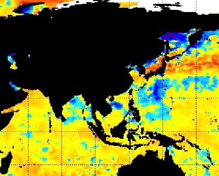 Satellittmålt temperatur i havoverflaten. Man kan se kalde spor (blått) etter både "Phailin" (India), "Nari" (Vietnam) og "Wipha" (Japan). (Foto: (NOAA, 17. okt 2013)) Satellittmålt temperatur i havoverflaten. Man kan se kalde spor (blått) etter både "Phailin" (India), "Nari" (Vietnam) og "Wipha" (Japan). (Foto: (NOAA, 17. okt 2013))