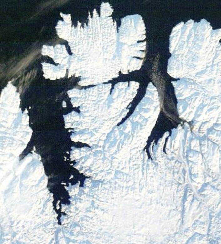 Der var det daglys og skyfritt over Finnmark også. Bildet ble tatt 7. februar. Svalbard er neste stasjon på solas vei nordover. (Foto: (NASA Terra MODIS)) Der var det daglys og skyfritt over Finnmark også. Bildet ble tatt 7. februar. Svalbard er neste stasjon på solas vei nordover. (Foto: (NASA Terra MODIS))