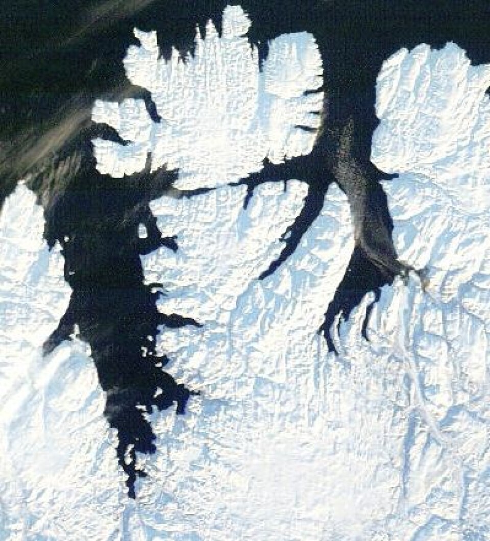 Der var det daglys og skyfritt over Finnmark også. Bildet ble tatt 7. februar. Svalbard er neste stasjon på solas vei nordover. (Foto: (NASA Terra MODIS))