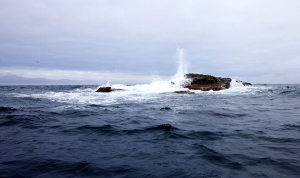 Ikke mye er igjen av Kolbeinsøy. En enslig rest av armeringsjern stikkende ut fra berget, vitner om helikopterlandingsplassen som en gang var her. Foto: Sindre Skrede