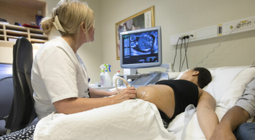 En av tre gravide innvandrerkvinner forstår ikke viktig helseinformasjon