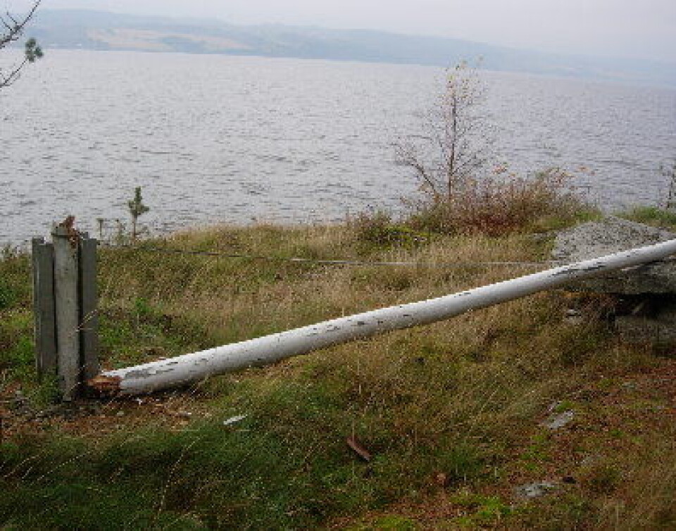 Den første høststormen 2011 - og dermed knakk flaggstanga ... (Foto: T. Wahl)