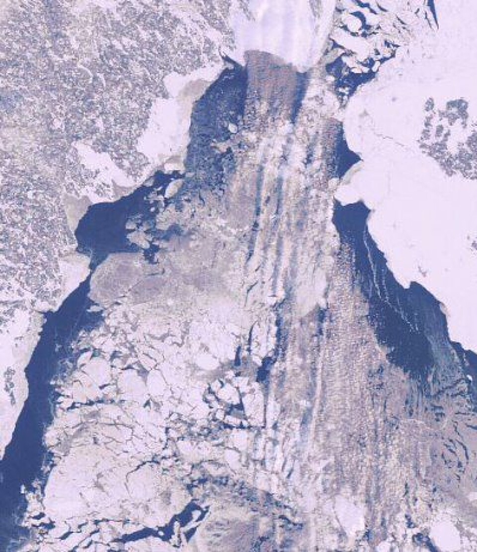 Det er Norge som er 'vinterlandet'. Men vi må nok innrømme at svenskene og finnene har mer bruk for isbrytere enn oss. Her er hva ENVISAT så i Bottenviken 12 februar. (ESA)