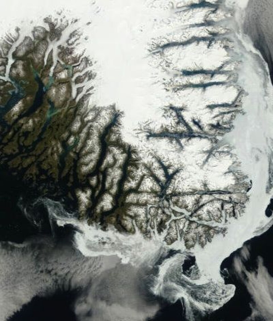Sydspissen på Grønland sett 13. juni fra NASAs satellitt Terra. (Foto: (NASA Terra MODIS))