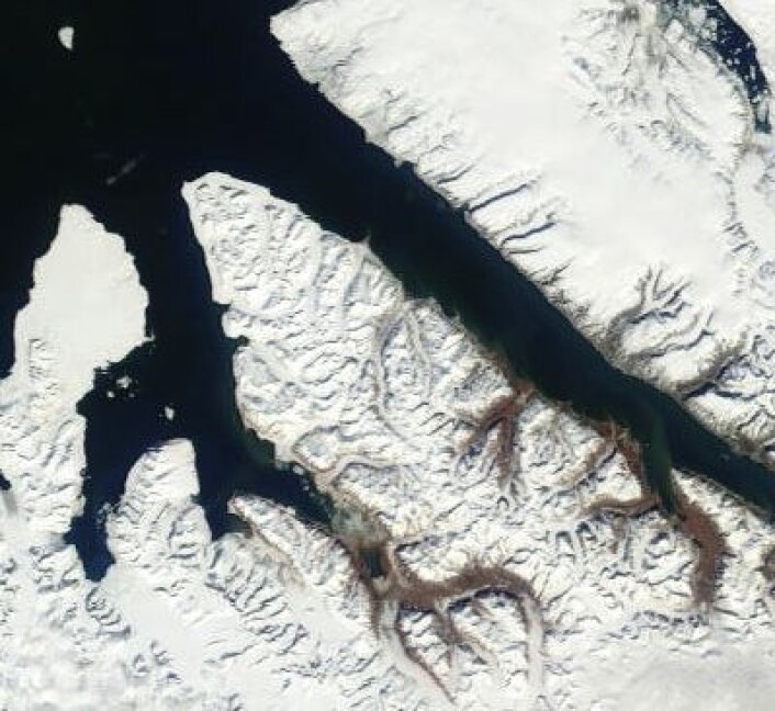 Nordsiden av Spitsbergen sett fra Terra 17. juni. (Nord er opp til venstre). (Foto: (NASA Terra MODIS)) Nordsiden av Spitsbergen sett fra Terra 17. juni. (Nord er opp til venstre). (Foto: (NASA Terra MODIS))