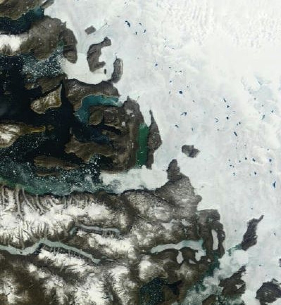 Sommerstemning ved Grønlands vestkyst. (Foto: (NASA Terra MODIS))
