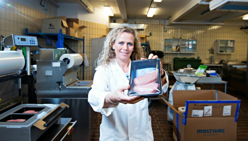 Seniorforsker Marit Kvalvåg Pettersen i Nofima har testet hvordan ulike væskeabsorbenter påvirker kyllingens saftighet og bakterienivå.