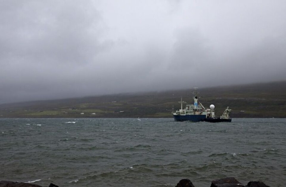«Knorr» i Akureyri. Foto: Sindre Skrede