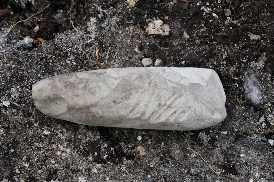 Tidlig i avtorvingsprosessen fant vi denne slipte skiferøksa. Foto: Raymon Skjørten Hansen Copyright: Tromsø Museum
