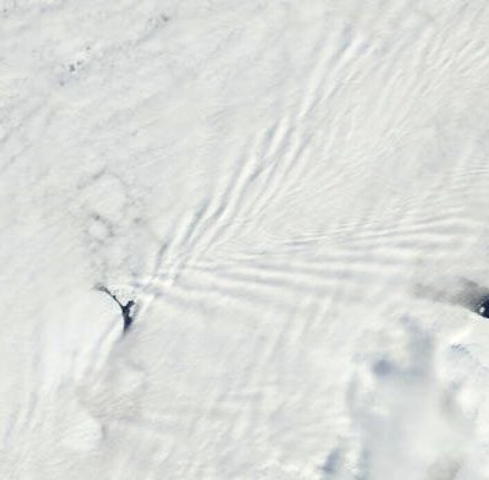 Overskyet, men et veldig fint "kjølvann" i atmosfæren bak en av øyene ved Franz Josef Land 17. juni. (Foto: (NASA Terra MODIS)) Overskyet, men et veldig fint "kjølvann" i atmosfæren bak en av øyene ved Franz Josef Land 17. juni. (Foto: (NASA Terra MODIS))