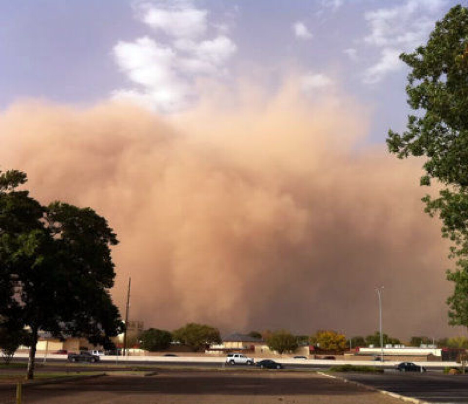 Støvstormen ruller inn over Lubbock, Texas, 17 oktober i år. (Foto: (John Holsenbeck, WFO Lubbock))