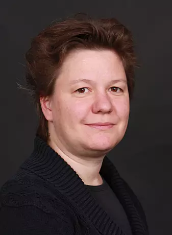 Stephanie Werner er professor ved Institutt for geofag ved Universitetet i Oslo.