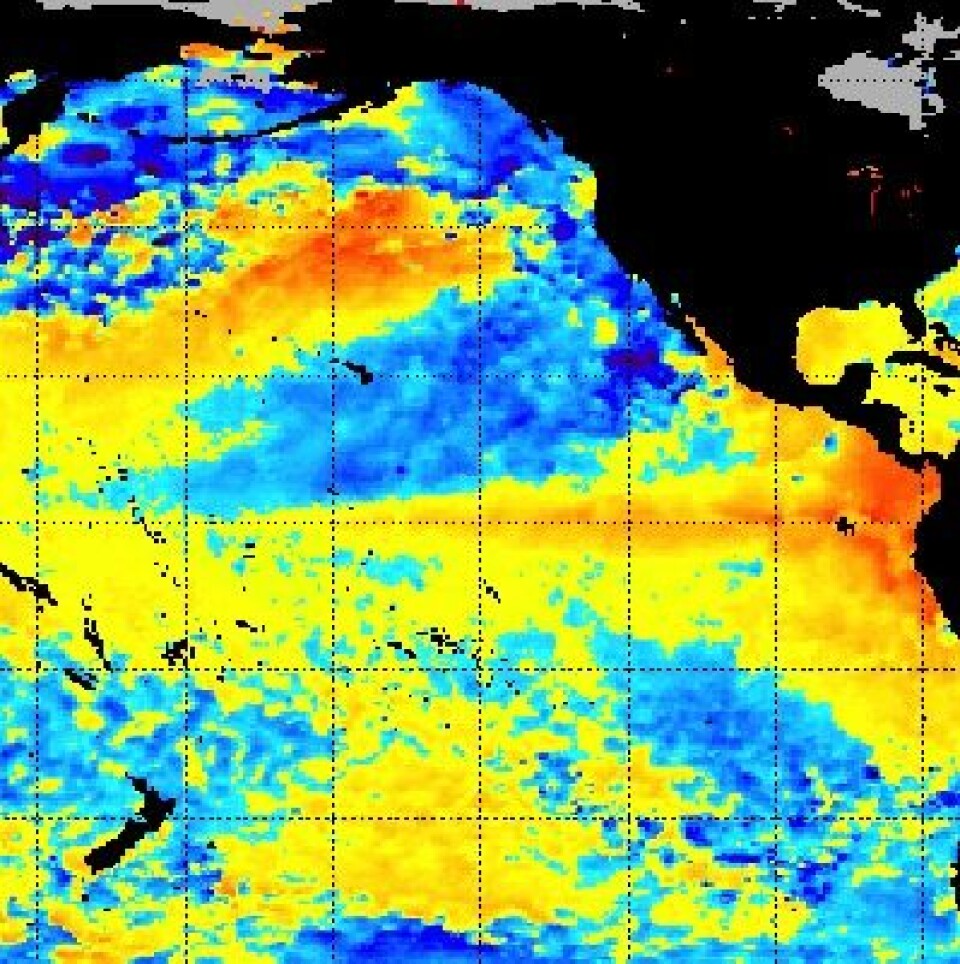 En El Ninjo? Det likner veldig, ja. I hvert fall når vi ser på temperaturen i havoverflaten 21 juni. (Foto: (NOAA))