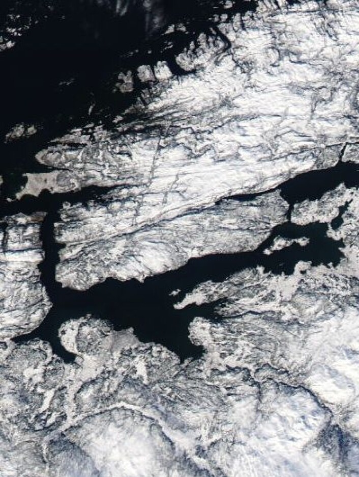 Vinteren holder fortsatt stand i Trøndelag. Her sett fra NASAs satellitt Aqua 8. mars. Ikke mye grønt å se der, nei. (Foto: (NASA Aqua MODIS)) Vinteren holder fortsatt stand i Trøndelag. Her sett fra NASAs satellitt Aqua 8. mars. Ikke mye grønt å se der, nei. (Foto: (NASA Aqua MODIS))