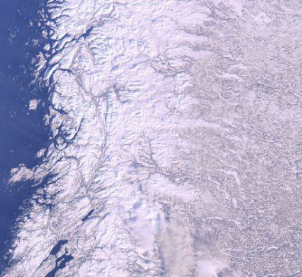 Snøen klarer aldri å farge barskogen helt hvit. Og ut fra dette ENVISAT-bildet tatt 14 feb fra Helgelandskysten og østover, må vi vel bare innrømme at svenskene har flere trær enn oss ... (ESA)