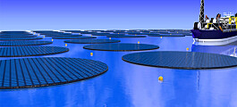 Can floating solar islands meet the world’s future energy needs?