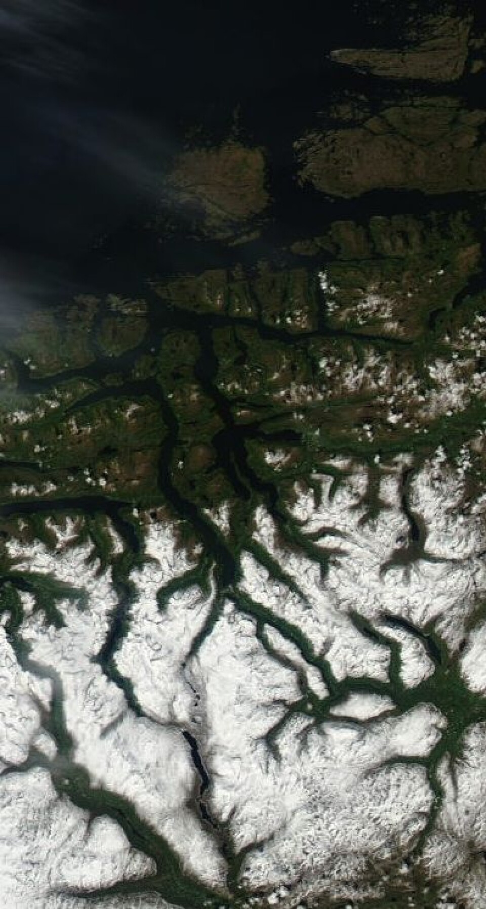 Dype fjorder, grønn skog og snøkledte fjell, sett fra satellitt ved sommersolverv. (Foto: (NASA Aqua MODIS))