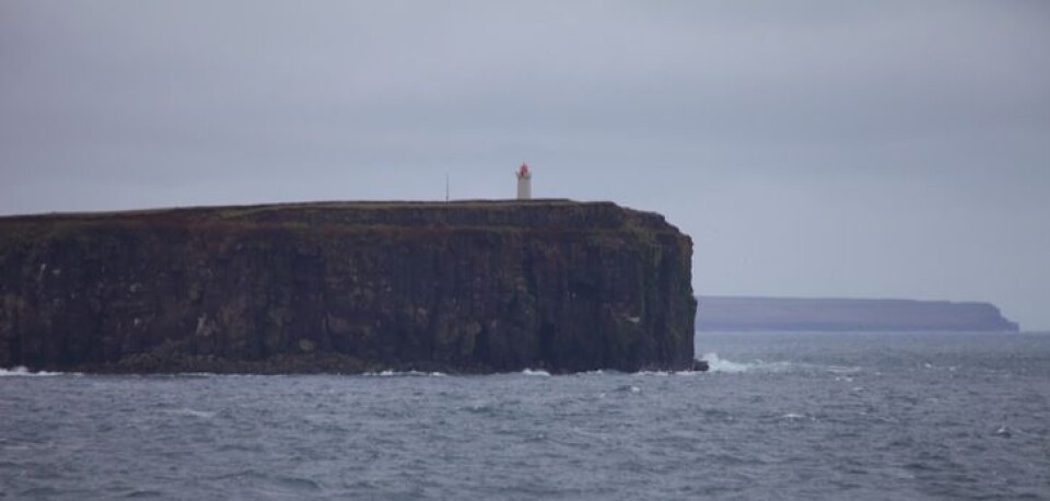Langanes, på nordøst-siden av Island. Foto: Sindre Skrede