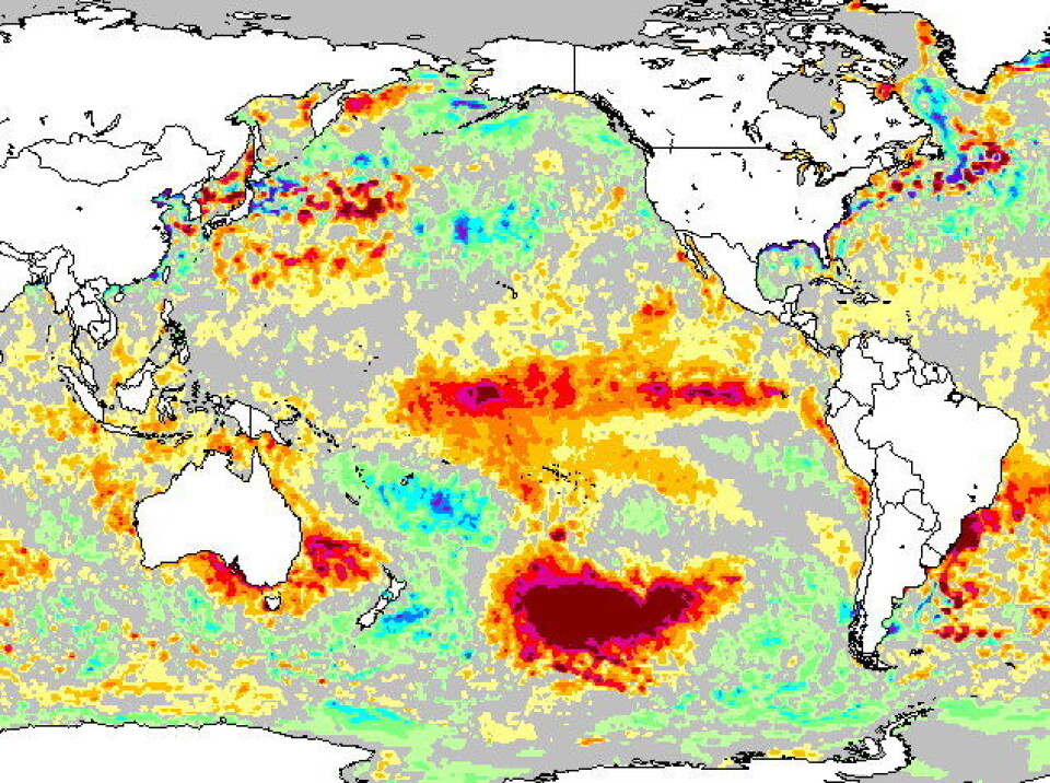 Figur 3: Varmere vann enn vanlig i Stillehavet - et tydelig tegn på El Ninjo. (NOAA).