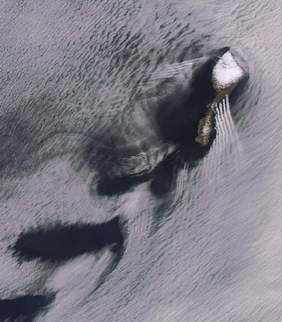 Optisk bilde av Jan Mayen, tatt sommeren 2007 fra Europas miljøsatellitt ENVISAT. Her er det både atmosfæriske bølger og virvler. (ESA/KSAT)