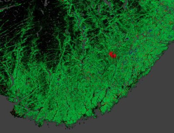 Reduksjon (rødt) av norsk skogareal, sett fra analyse av Landsat-bilder. I dette tilfellet var det en skogbrann som var synderen. (Foto: (Matt Hansen et al. / Univ of Maryland / Google)) Reduksjon (rødt) av norsk skogareal, sett fra analyse av Landsat-bilder. I dette tilfellet var det en skogbrann som var synderen. (Foto: (Matt Hansen et al. / Univ of Maryland / Google))