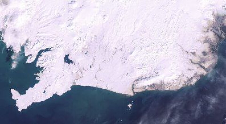 Våren drøyer også på Island i år. Her sett fra ENVISAT 12 mars. (ESA)