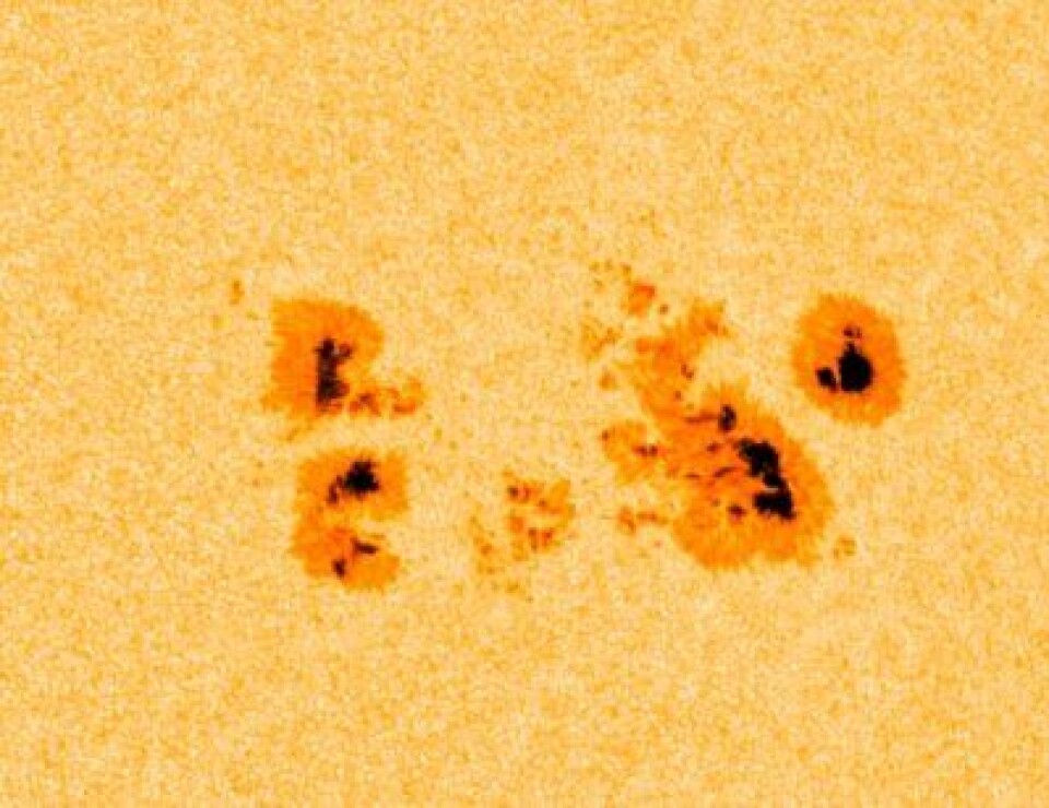 Mye solflekker å se nå, her observert fra NASAs SDO 11 mars. (NASA)