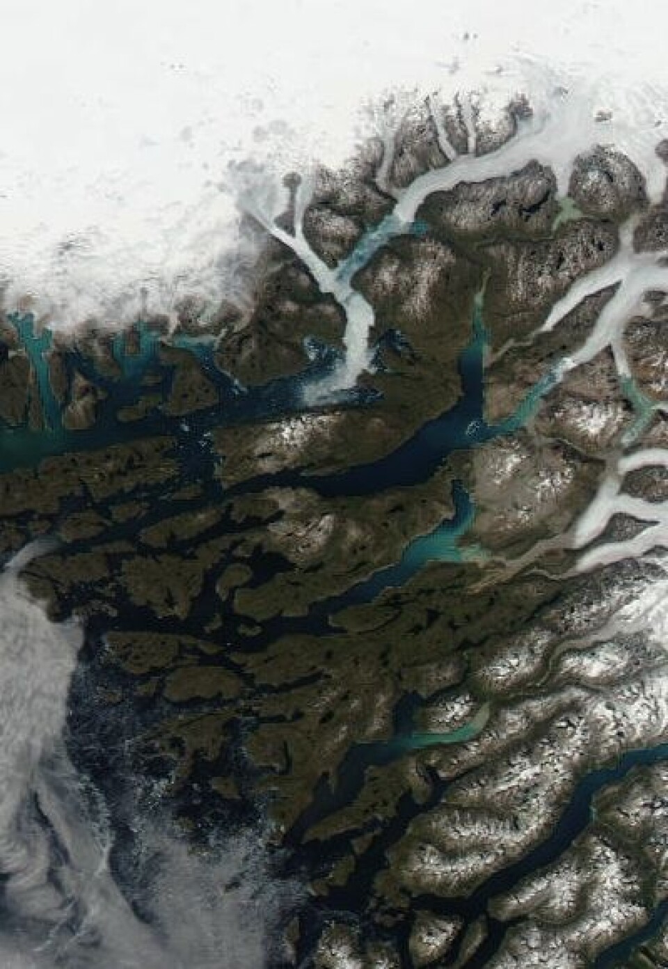 Brattahlid og omegn, sett fra satellitt 26 juni. (Foto: (NASA Aqua MODIS))