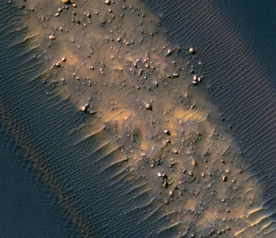Detaljert utsnitt fra bildet over, med småstein og fin-skala bølgemønstre. (NASA/JPL/Univ of Arizona)