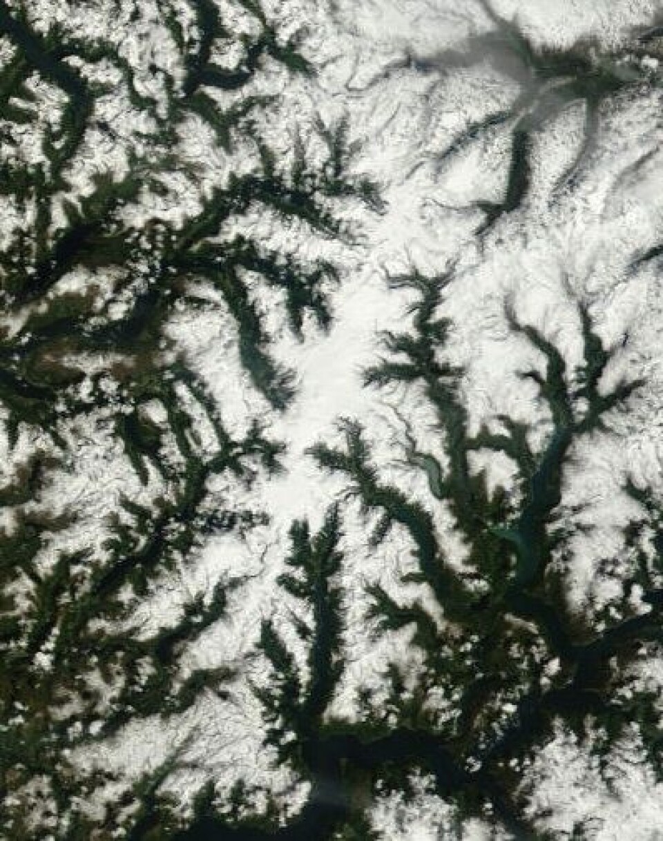 Vi begynner å skimte selve Jostedalsbreen nå, etter hvert som snøen smelter i terrenget rundt omkring. Dette bildet er tatt 27. juni. (Foto: (NASA Terra MODIS))