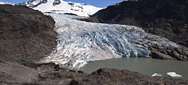Halvparten av verdens isbreer kan være borte innen 2100