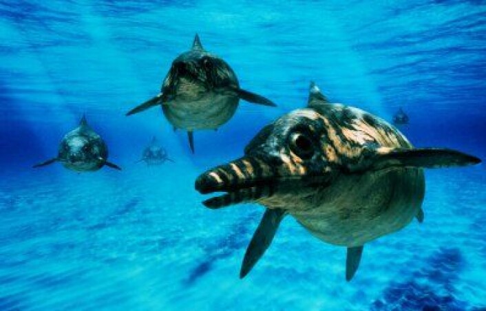 Hovedrolleinnehaverne: Fiskeøgler fra jura-tiden. Foto: BBC Hovedrolleinnehaverne: Fiskeøgler fra jura-tiden. Foto: BBC