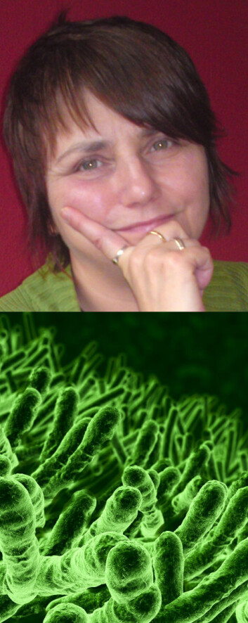 "Øverst: Toppen av Ninas kropp. Nederst: en type bakterie: e.coli" "Øverst: Toppen av Ninas kropp. Nederst: en type bakterie: e.coli"