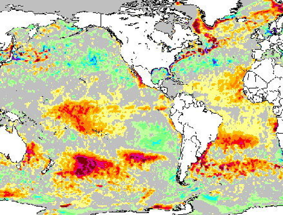 Temperatur i havoverflaten 29 januar, målt fra satellitt. Områder med gult/orange/rødt er varmere enn normalt, mens grønt og blått er kaldere. (NOAA)