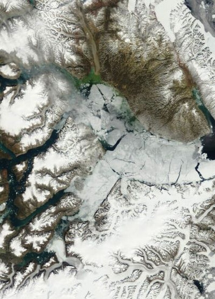 Det er sommer på Grønland nå, men 5. juli hadde isen fortsatt ikke helt forsvunnet i verdens lengste fjord ved Scoresby Sund. (Foto: (NASA Terra MODIS)) Det er sommer på Grønland nå, men 5. juli hadde isen fortsatt ikke helt forsvunnet i verdens lengste fjord ved Scoresby Sund. (Foto: (NASA Terra MODIS))