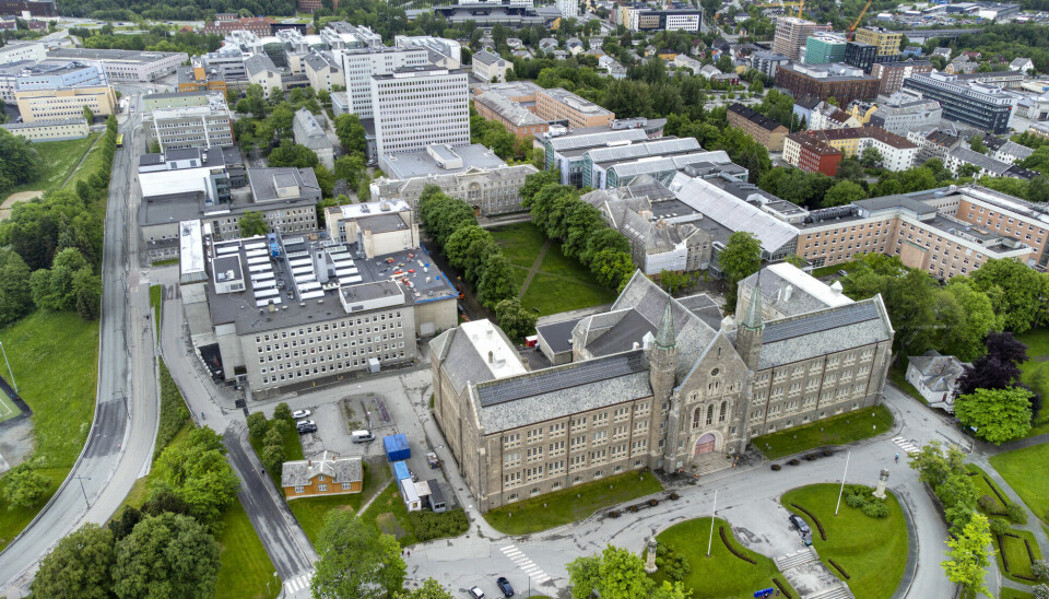 I Norge finnes det ti universiteter, NTNU er blant dem. Men hva skal til for å kunne bli et universitet? Det har en ekspertgruppe sett på.