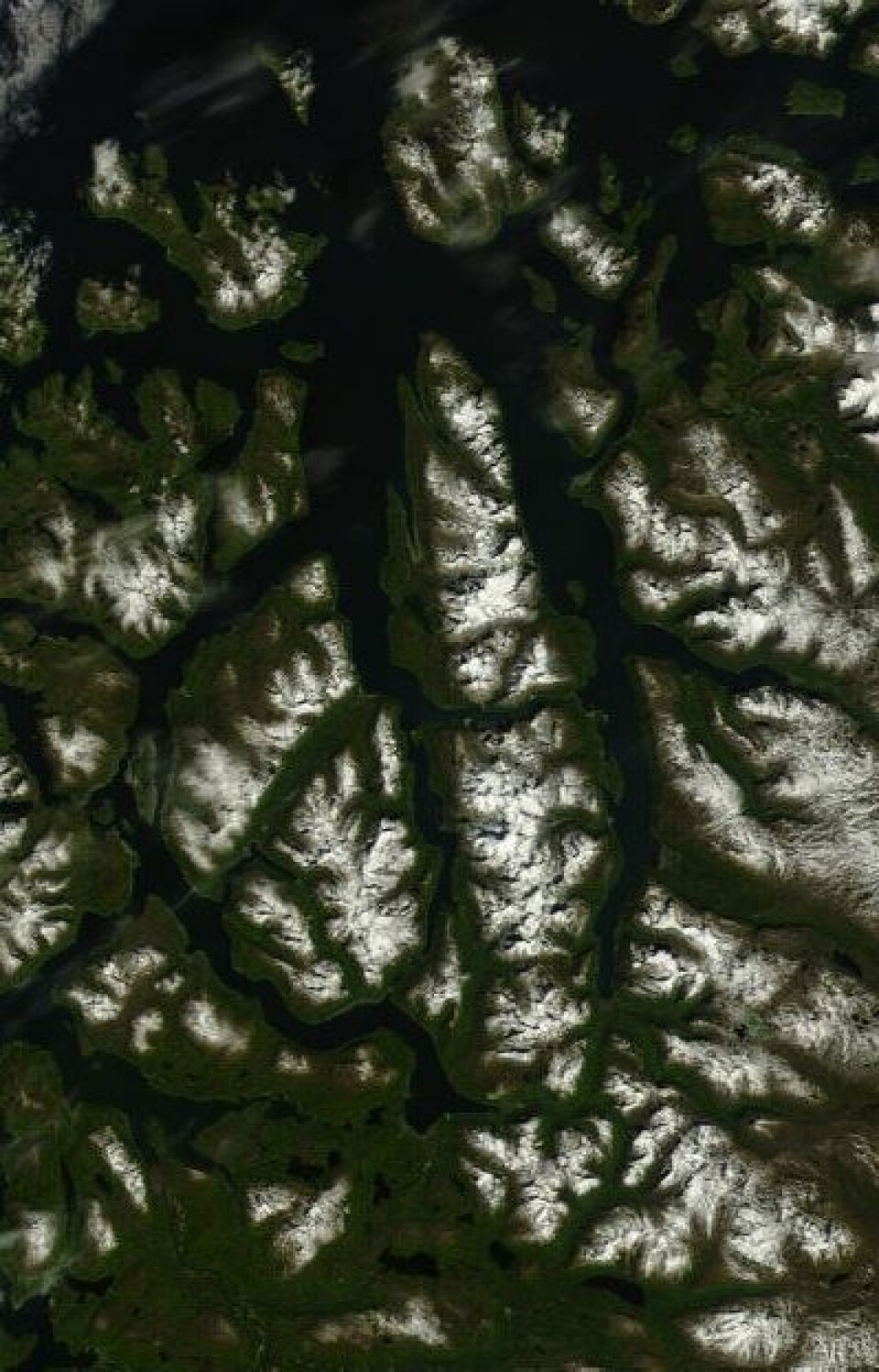 Lyngen og deler av Indre Troms sett fra NASAs satellitt Terra 10. juli. (Foto: (NASA Terra MODIS))